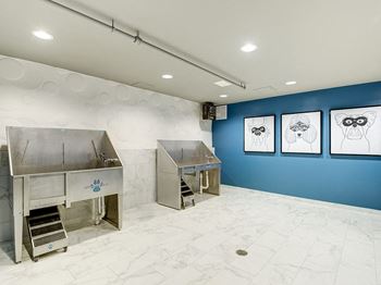 Pet spa & grooming station